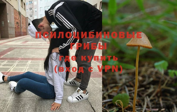 соль ск Аркадак