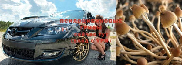 а пвп мука Арсеньев