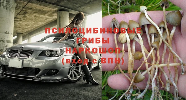 а пвп мука Арсеньев