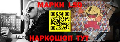 крисы Волгодонск