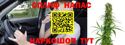 крисы Волгодонск