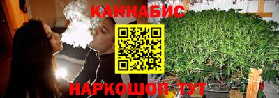 крисы Волгодонск