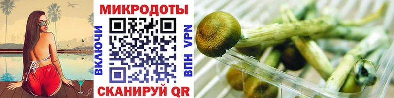 Галлюциногенные грибы Cubensis  Волжский 