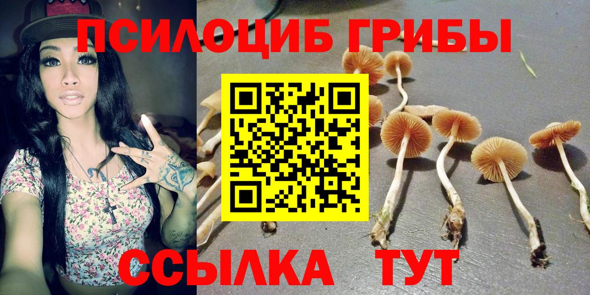 Псилоцибиновые грибы Cubensis  Галлюциногенные грибы MAGIC MUSHROOMS  Волжский  Вход с VPN 